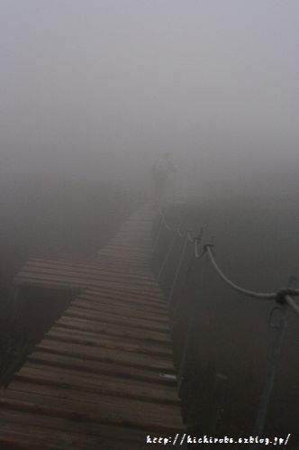 f0039446_17481430.jpg