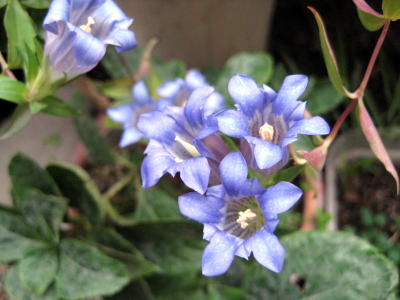 c0147952_23241426.jpg