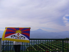 d0000652_025264.jpg