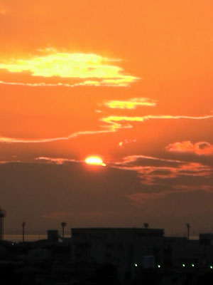 e0118654_9575819.jpg