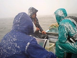 f0163063_12304426.jpg