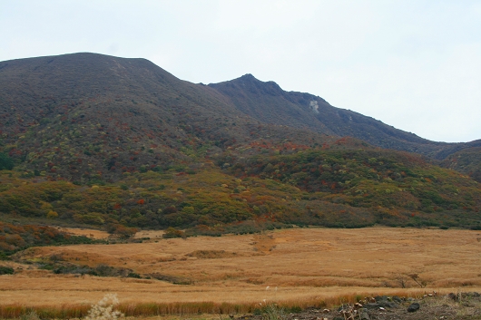 d0102968_640857.jpg