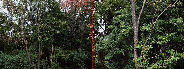 f0052269_21464486.jpg