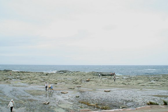 d0030373_16203460.jpg
