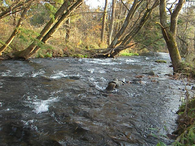 b0109874_16444346.jpg