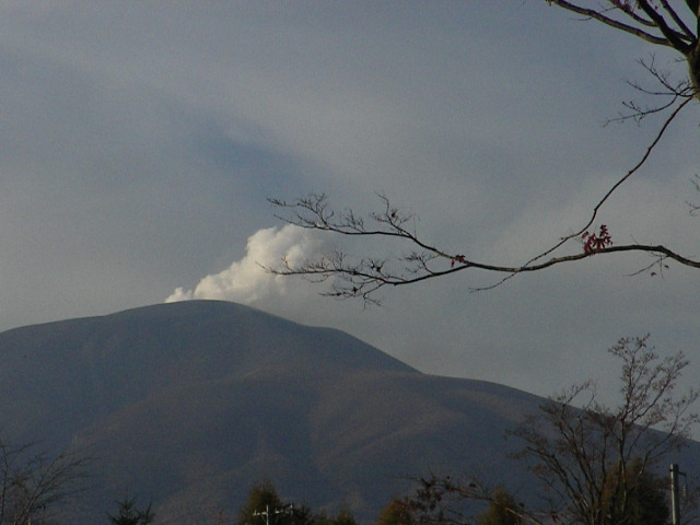 b0109874_1647541.jpg