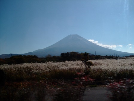 c0078480_23594721.jpg