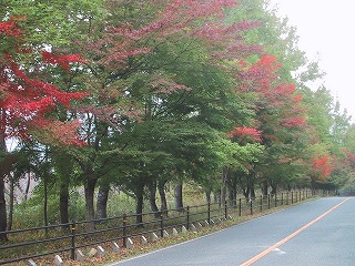 a0034382_2134580.jpg