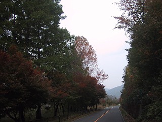 a0034382_21403941.jpg