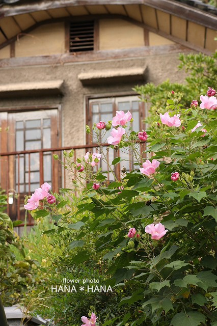 b0143484_19391056.jpg