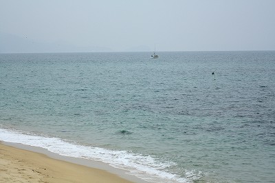 d0136889_9393175.jpg