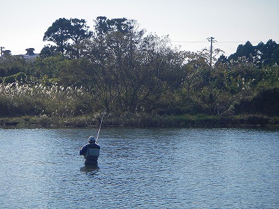 e0105589_845455.jpg