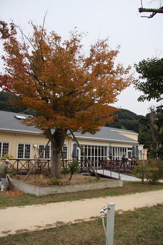 b0104592_16382887.jpg
