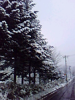 a0088896_17571634.jpg