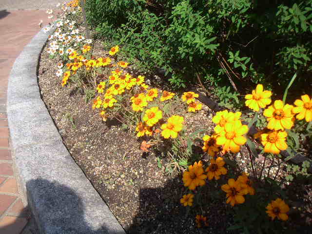 c0173896_1830459.jpg