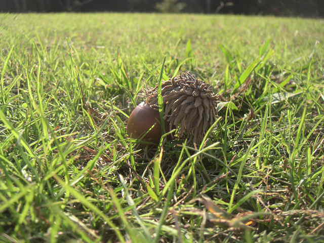 c0173896_18443860.jpg