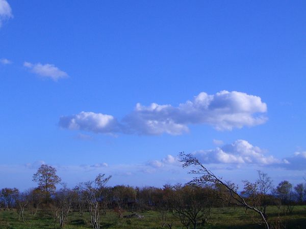 d0069498_2113137.jpg