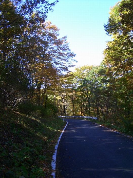d0069498_21134165.jpg