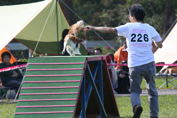 c0044199_13244148.jpg