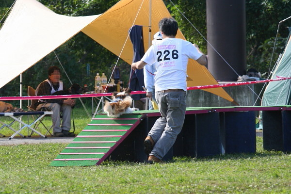 c0044199_13252827.jpg