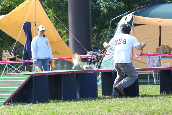 c0044199_13255559.jpg