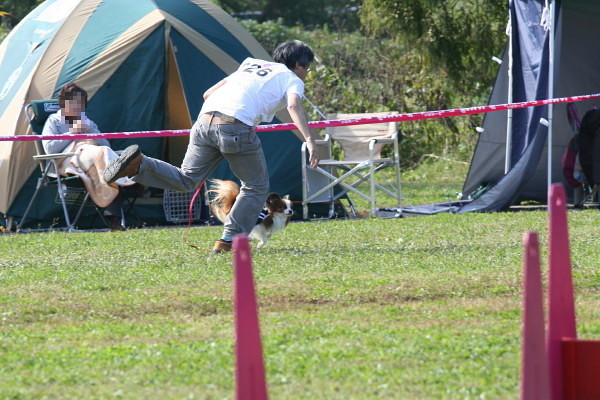 c0044199_1327992.jpg