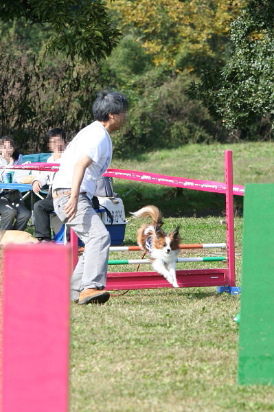 c0044199_1329755.jpg