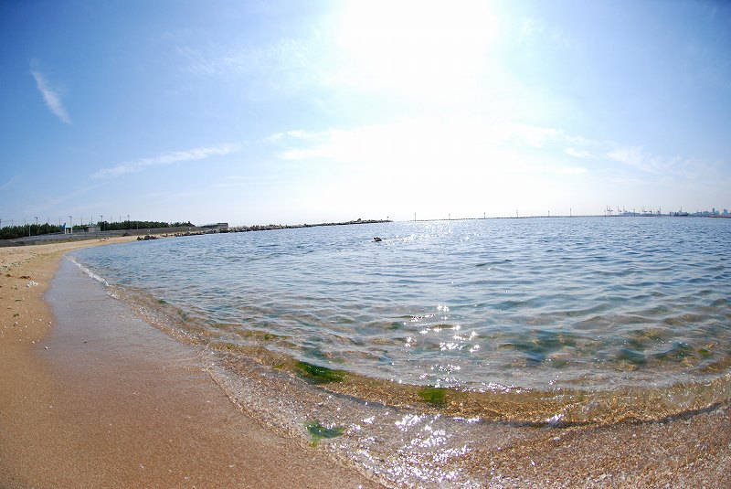 d0091700_2374372.jpg