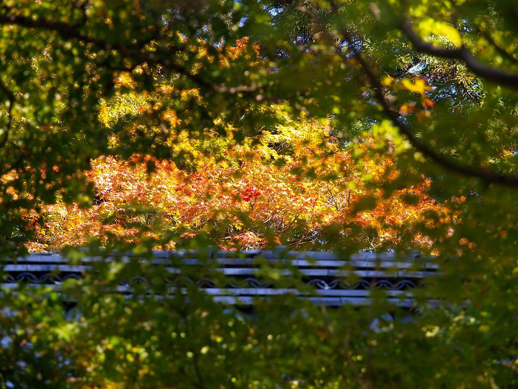 b0138101_0233099.jpg