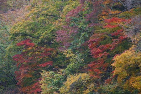 e0117202_19114919.jpg
