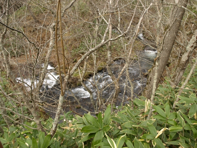 f0020302_21345897.jpg