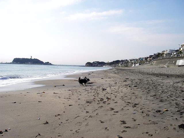 f0034602_9382412.jpg