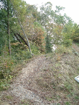 a0079803_295447.jpg