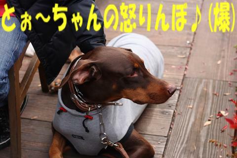 e0100007_21412478.jpg