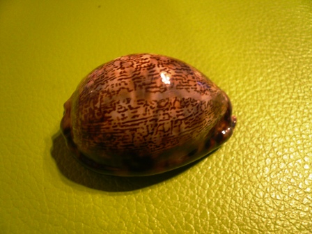 e0148907_03015.jpg