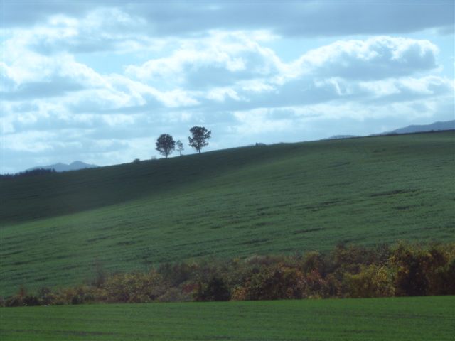 b0056108_1610988.jpg