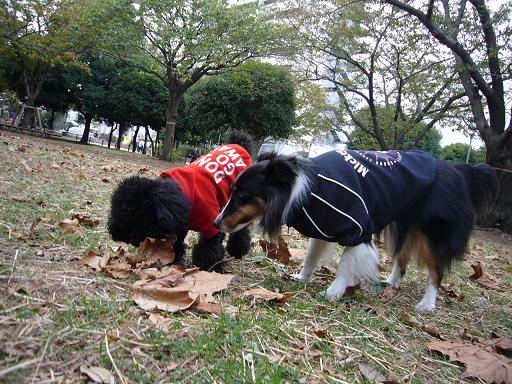 e0130008_22403828.jpg