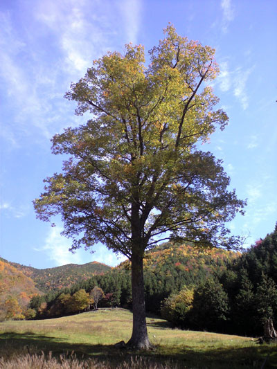 f0135908_18172111.jpg