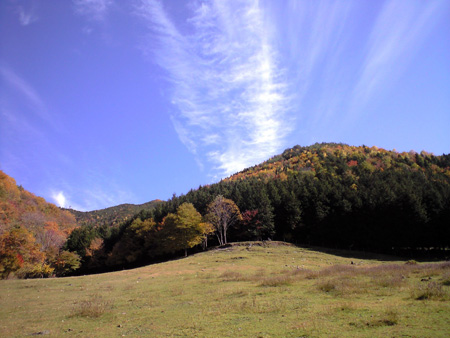 f0135908_1817795.jpg