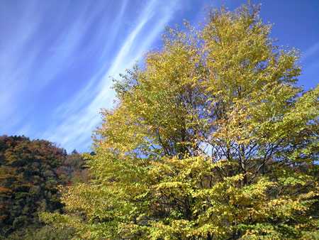 f0135908_1843846.jpg