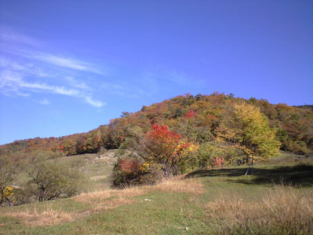 f0135908_1855287.jpg