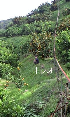 d0077410_14354156.jpg