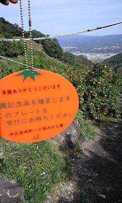 d0077410_14354184.jpg