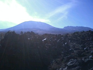 f0006510_2334695.jpg