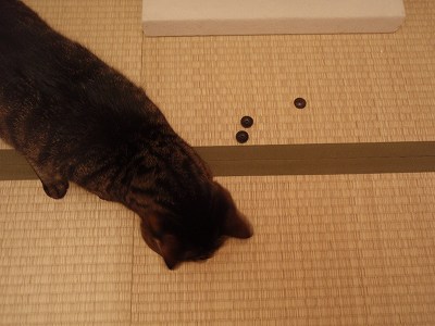 c0145016_20282058.jpg
