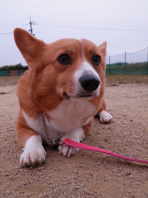 c0127617_17294063.jpg