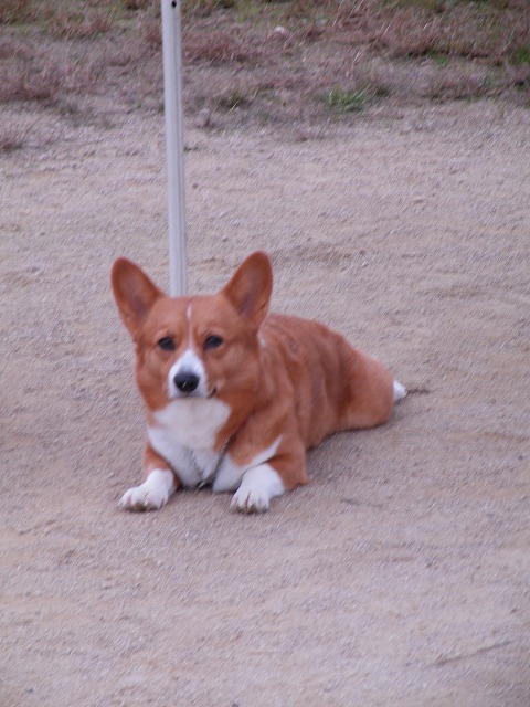 c0127617_17343691.jpg