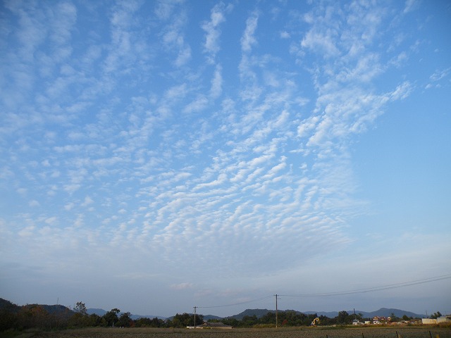 c0127617_1741104.jpg