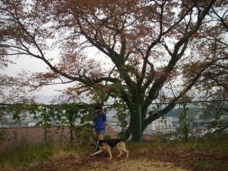c0090220_14173552.jpg