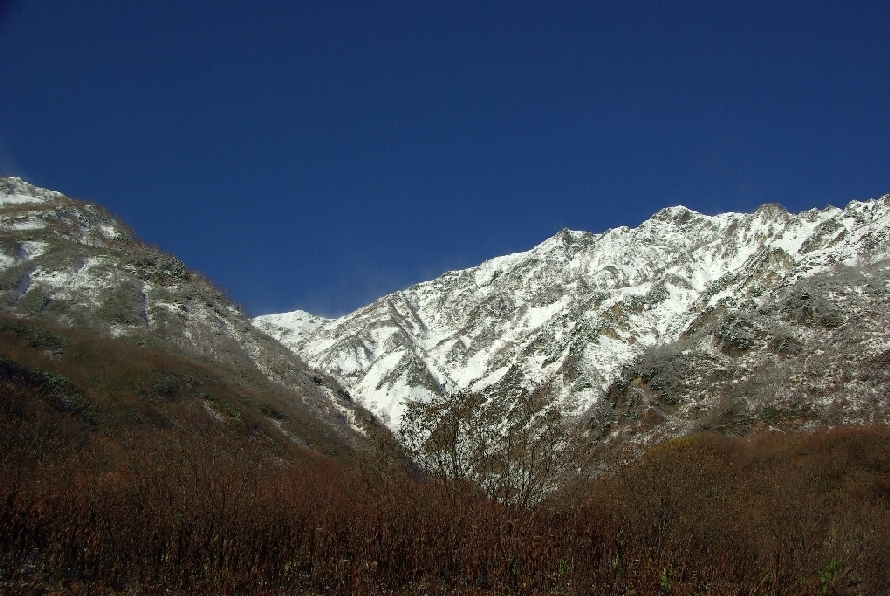 b0062024_20383820.jpg